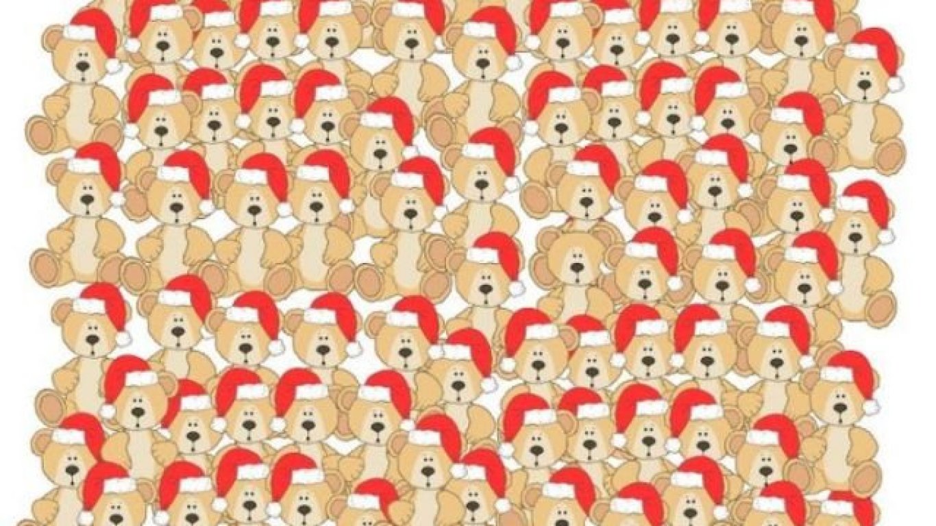 ¿Podés encontrar el oso sin gorro en menos de 10 segundos?