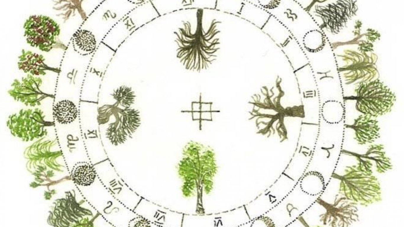 HORÓSCOPO CELTA: conocé qué árbol te representa según tu fecha de nacimiento