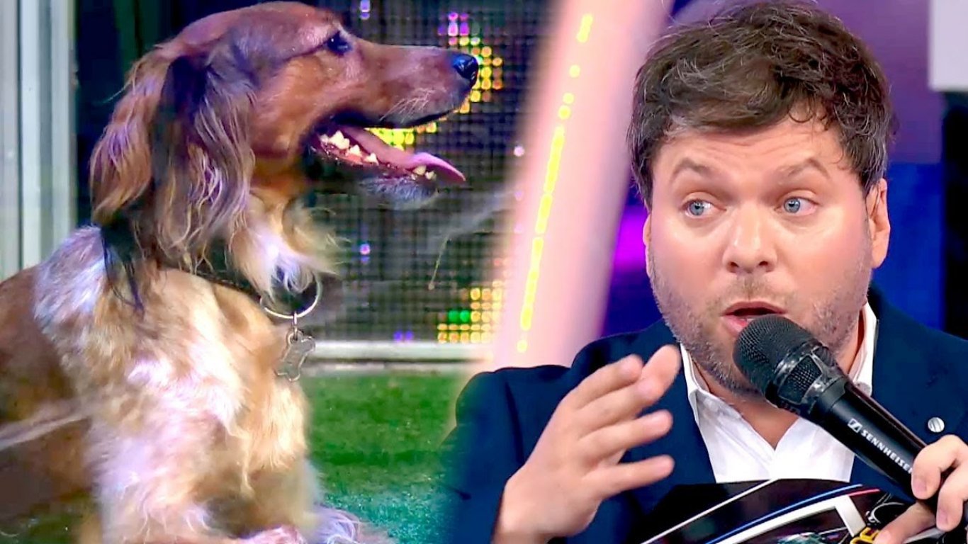 ¿Multa para Guido Kaczka por su nuevo juego de los perros?