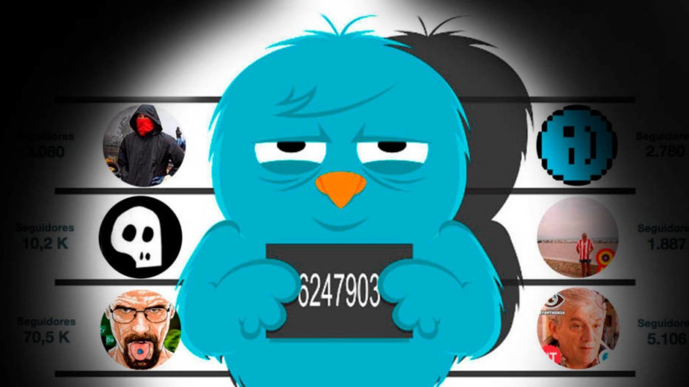 imagen-card