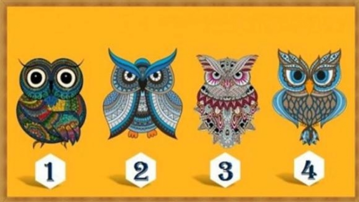 imagen-card