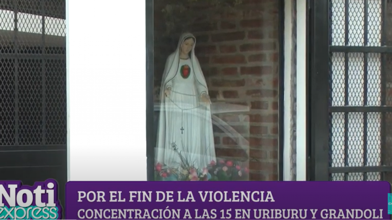 imagen-card