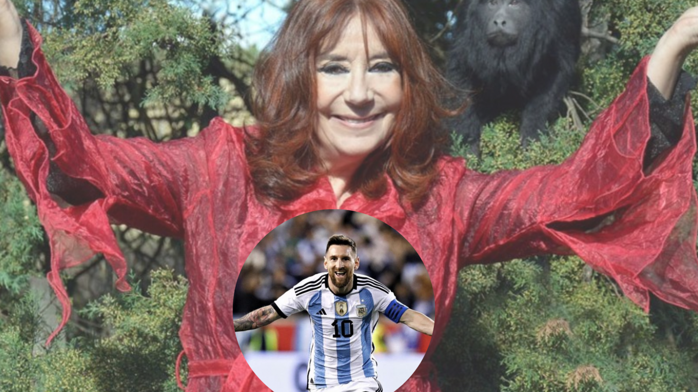 imagen-card