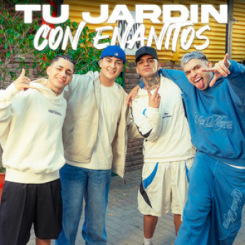 img-card